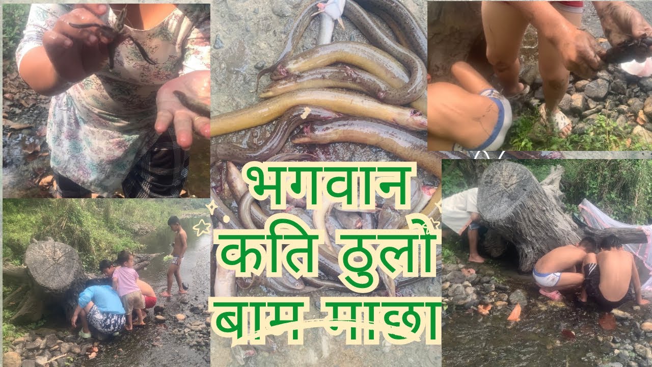 We Catched Big Fish In The River//जिरिखिम्ति खोलाको मिठो माछा - YouTube