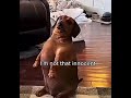 NoT THaT INnOcEnTЁЯШЗ Nothingimposibleinthisworld Notmyvid Vent NoT THaT INnOcEnTЁЯШЗ Nothingimposibleinthisworld Notmyvid Vent
