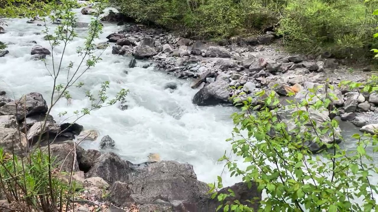 Flowing River in Blausee Lake, Switzerland