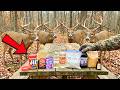 These 15 Household Items OUTPERFORM Every Buck Attractant on the Market — Attract 3X More Bucks