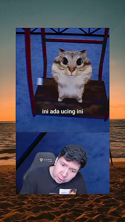 TERBANG🗿 - MOMENT KOCAK WINDAH BASUDARA #windahbasudara #momentkocakwindahbasudara #shorts