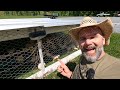 How to get started raising chickens on pasture!