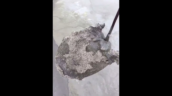 caught a turtle in a mud