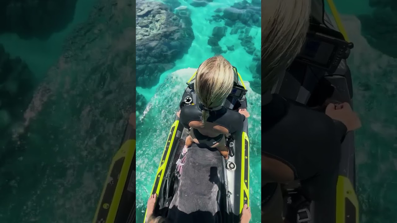 💎 Standards Create Lifestyle | Prime Luxoria™ 👑 