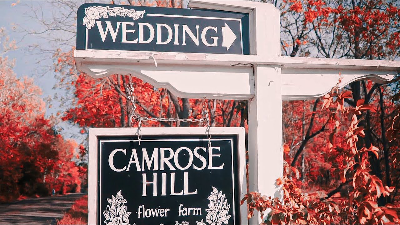 Camrose Hill Flower Farm Wedding Venue Spotlight YouTube