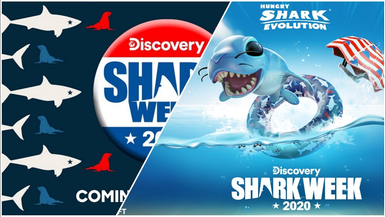 Shark week. Хангри Шарк. Hungry Shark Evolution. Дискавери про акул. Shark week игра.