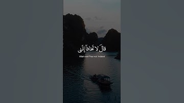 قال لا تخافا إنني معكما أسمع وأرى | سورة طه الآية 46 محمد ديبيروف