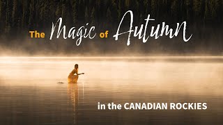 The Magic of Autumn - Video Journal #3