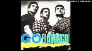 Go Flamingo! - In The Dark