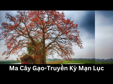 Video Ma Cây Gạo - Truyền Kỳ Mạn Lục | Huyền Sử Việt Nam #huyensu - youtube