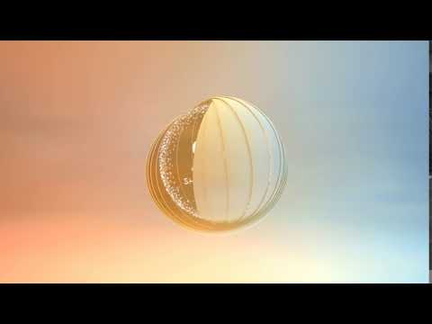 Shear Karma Logo Animation