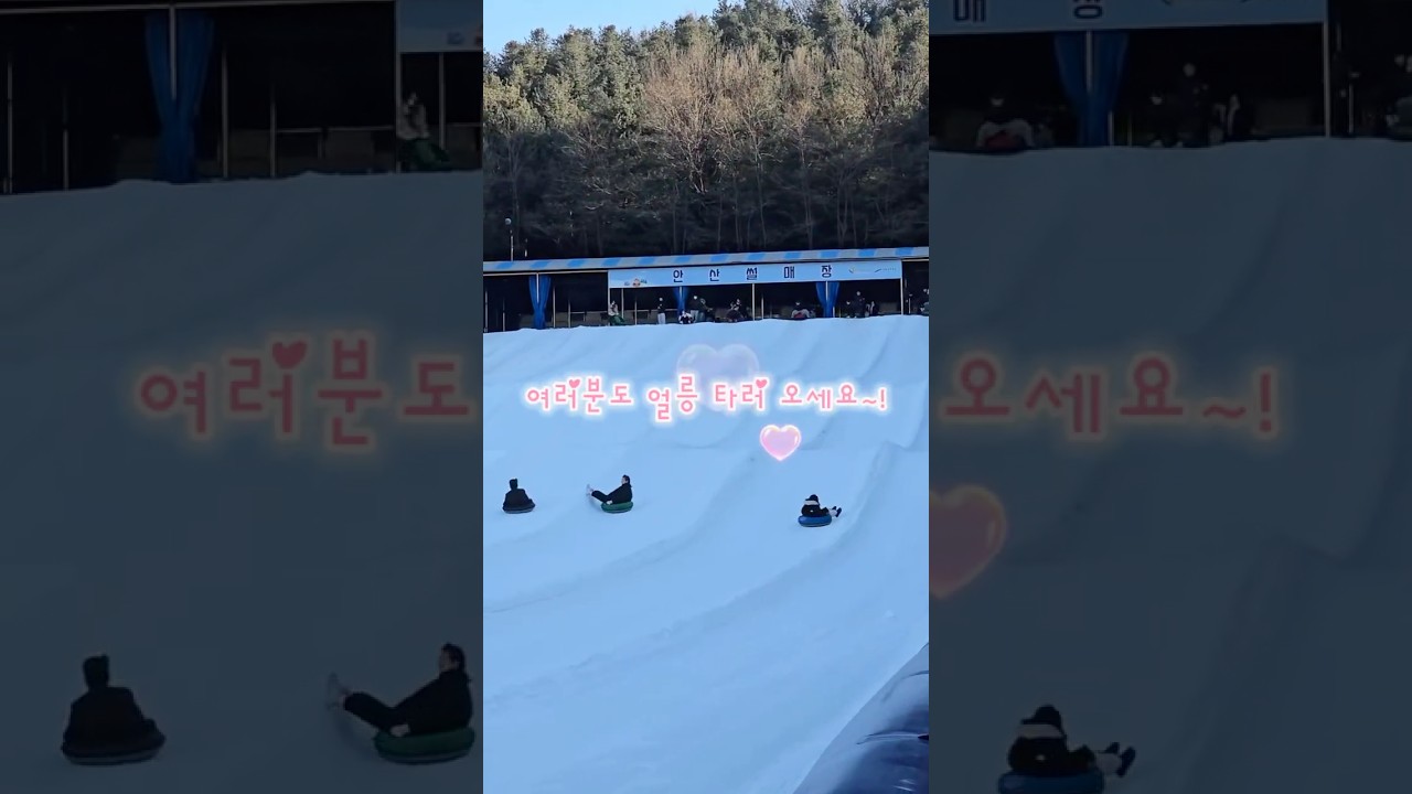 주말에 여기 안 가면 손해❄️ 안산썰매장 직접 가봤습니다