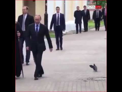 هذي حمامة ولا مخابرات روسية