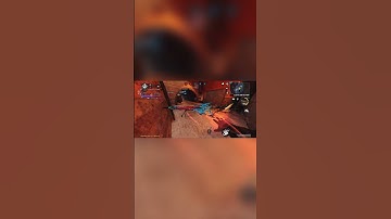 DL Q33 Lotus Flames inspection and reload