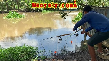 Câu Cá Tra Sông - Bãi Này Cá Ục Hơn Nuôi Dính Liên Tục | Fishing - Miền Tây