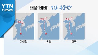 최악 바람 태풍 될 듯...황해도 아닌 단둥 상륙? / YTN