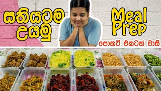 සතියටම හරියන්න කෑම හැදුවා | Meal Prep For a Week Sinhala