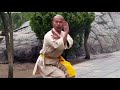 Shaolin Kung Fu Combat Styles: 5. 7-star form (七星拳: qixing quan)