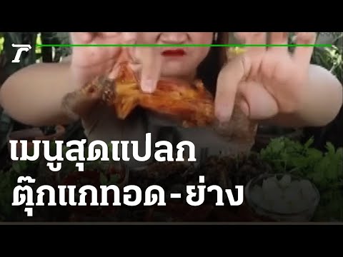 เมนูสุดแปลก ตุ๊กแกทอด-ย่าง | 07-06-65 | ตะลอนข่าว