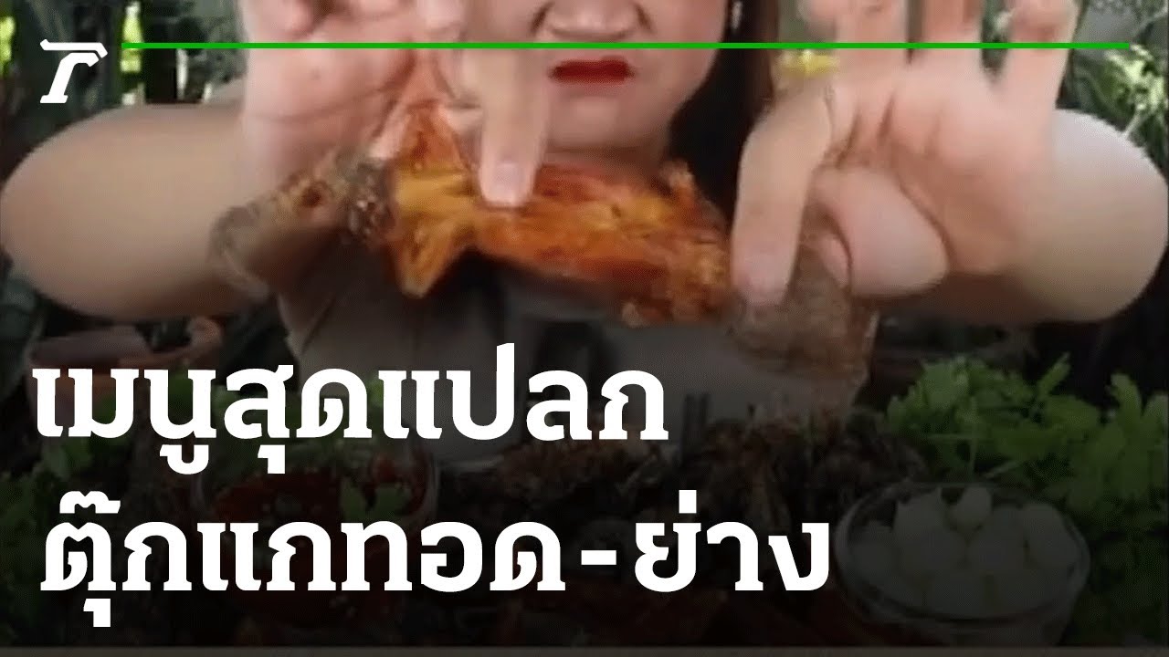 เมนูสุดแปลก ตุ๊กแกทอด-ย่าง | 07-06-65 | ตะลอนข่าว | ข้อมูลที่อัปเดตใหม่ที่เกี่ยวข้องกับรูป แบบ เมนู อาหาร