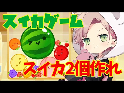 【スイカゲーム】最高点3705を超えろ！スイカ二つ作れたら神になれるらしい※声帯治療中のため小声【律可/ホロスターズ】#りつすた #vtuber