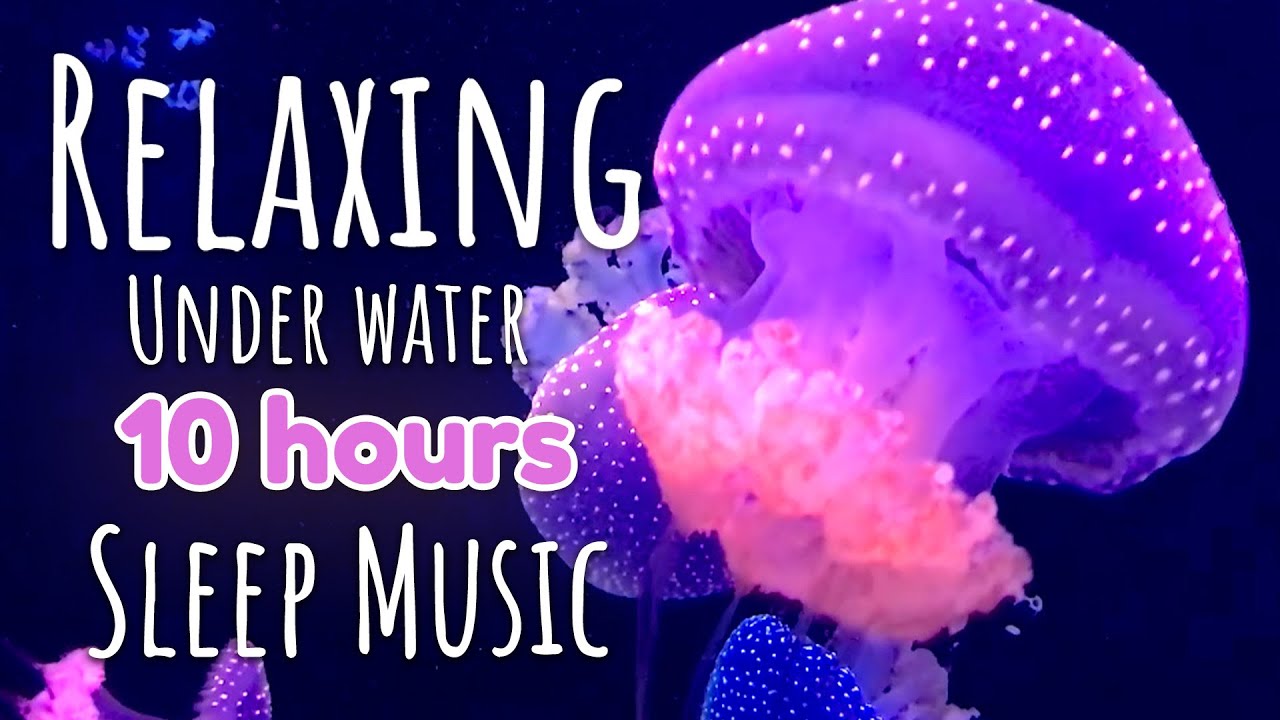 2 Hours Underwater Relaxing Music Satisfying Sensory Sleep Music 2-hours-underwater-relaxing-music-satisfying-sensory-sleep-music
