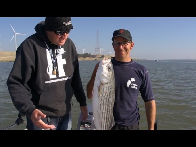 Striper trolling the CA Delta Ft. Scott Feist 