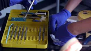 Dental Assistant Training Program