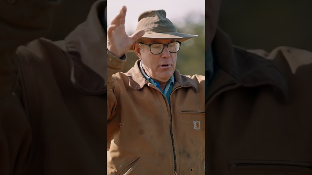 Joel Salatin - The Energy Cycle of a Perennial vs Annual Plant