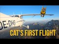 Cats first flight ✈️😻❤️