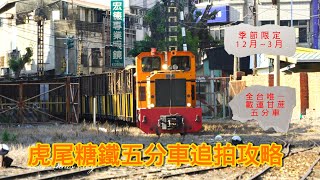 拍攝攻略-虎尾糖廠五分車-全台唯一載甘蔗五分車 