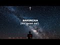 Christina Shusho- Bwana Umenichunguza | Swahili worship | Lyrics translated to English | Psalm 139