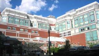 Enough Is Enough - Fire Paul Levy