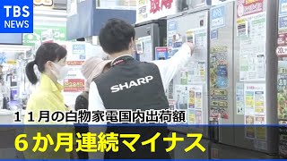 １１月の白物家電国内出荷額 巣ごもり一巡で６か月連続マイナス