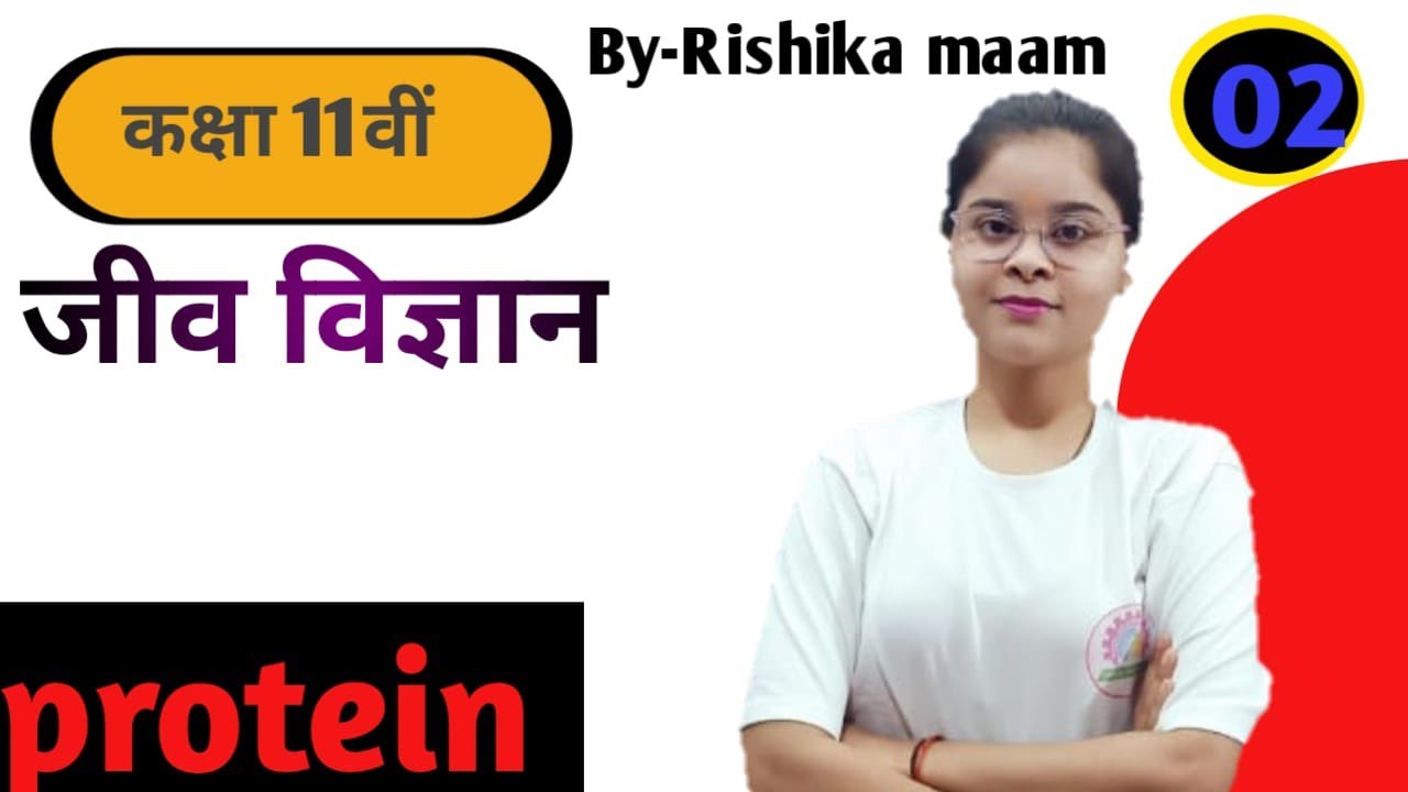 11th Ncert biology Protein byRishika mam YouTube