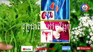 រុក្ខជាតិ ភ្លៅ កង្កែប