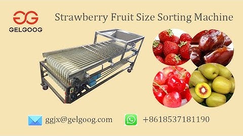 Commercial Strawberry Size Sorting Machine Fruit Selecting Machine @gelgoog.com