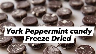 Freeze Drying York Peppermint Candy... Did it work? screenshot 5