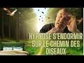 Hypnose douce  voyage au pays des oiseaux pour un sommeil profond