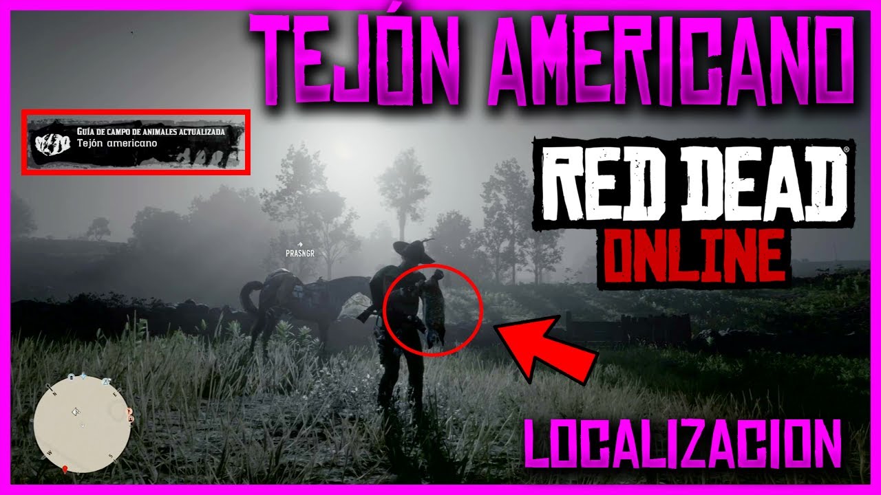 Tejon Rdr2 TEJON AMERICANO LOCALIZACION RED DEAD ONLINE - YouTube