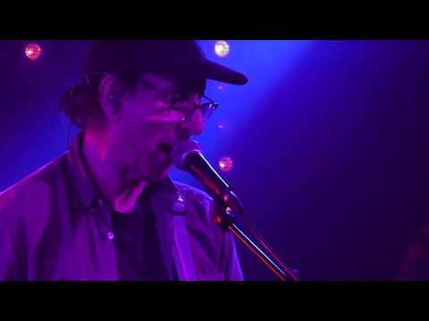 Wire - Ex Lion Tamer (Live)