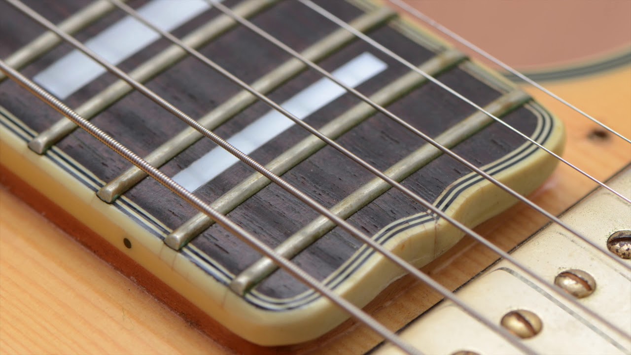 Professor Locoto - Pruning Roses