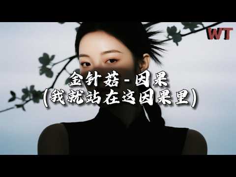 金针菇 - 因果 (我就站在这因果里)『该来的自会奔赴而来，该散的自有它的结局。』【动态歌词MV】