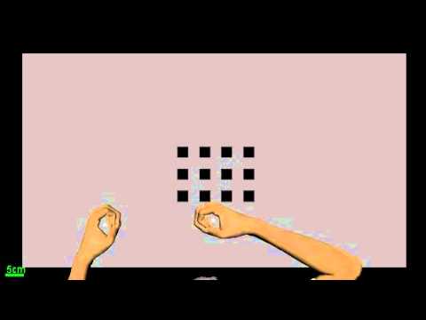 KST: Spatial Span, Typical subject (old)
