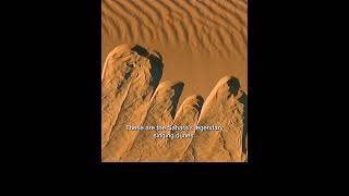 Desert Symphony#nature #foryou