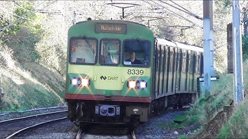 Irish Rail 8300 Class Dart Train 8339 - Harmonstown, Dublin