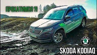 Обзор Skoda Kodiaq - 