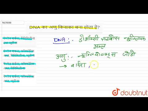 वीडियो: DNA अणु किससे बना होता है?