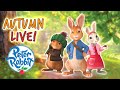 🔴  @Peter Rabbit - Hours of Adventures LIVE!