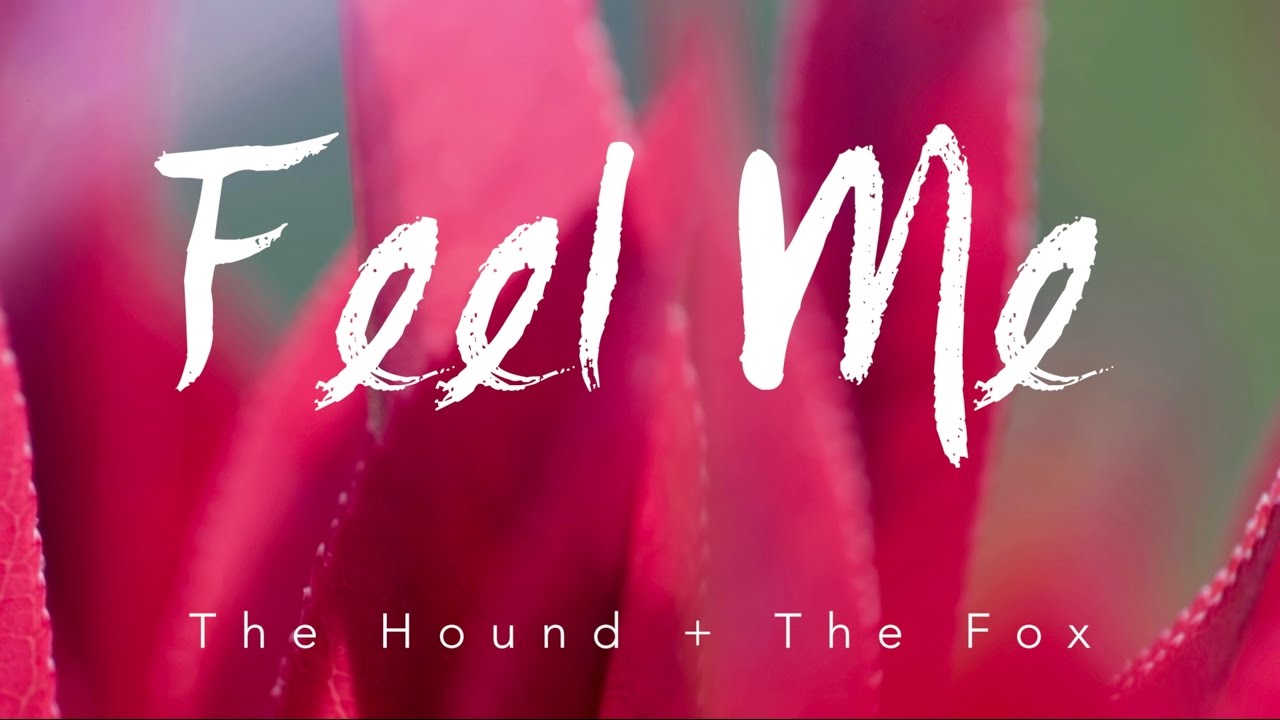 Feel Me (Original Lyric Video) | The Hound + The Fox